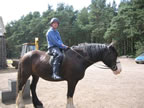 cottage fife horse riding